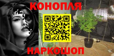 спиды Кимры