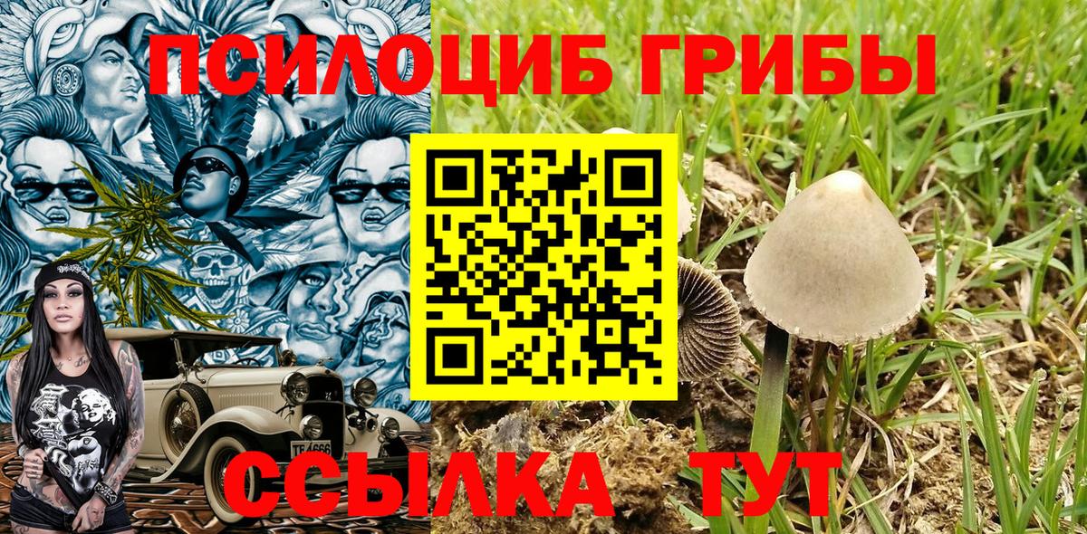 Галлюциногенные грибы ЛСД Зеленокумск