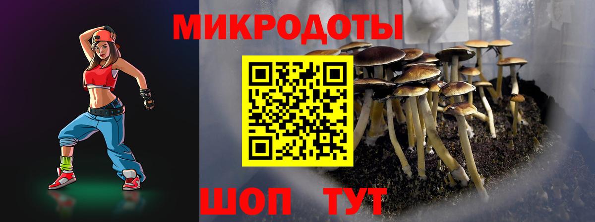 Псилоцибиновые грибы мицелий  Вход с VPN  купить наркотик  Зеленокумск 